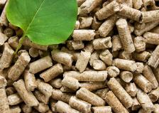 Pellets Pellets